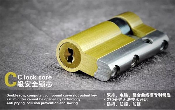 the-profile-door-can-also-be-fitted-with-the-intelligent-fingerprint-lock-2